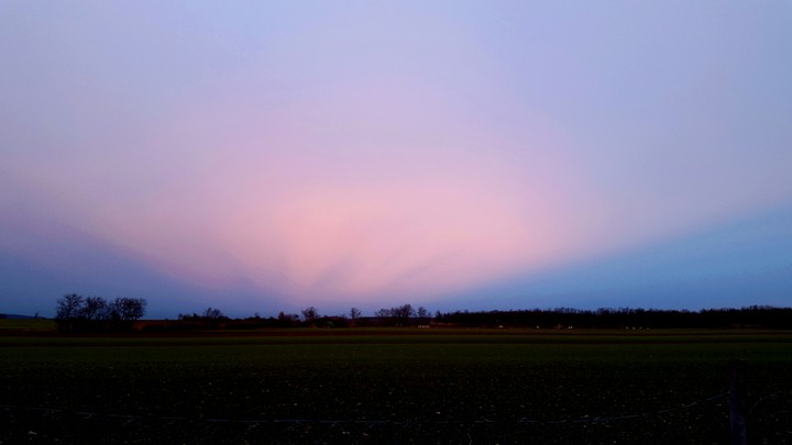 Pink and Blue