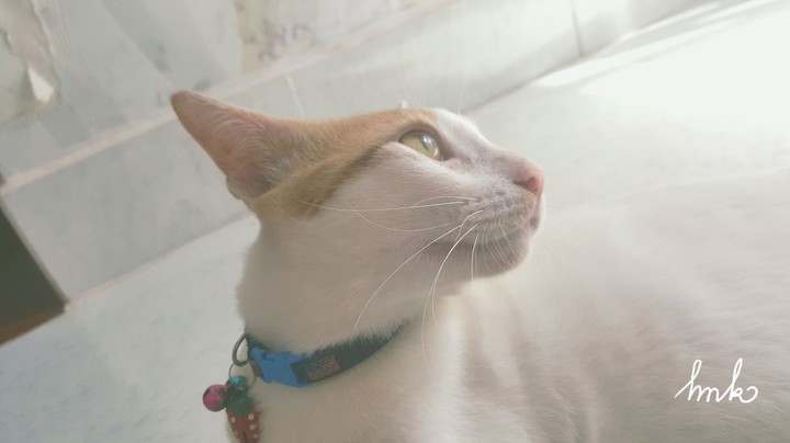 My boy