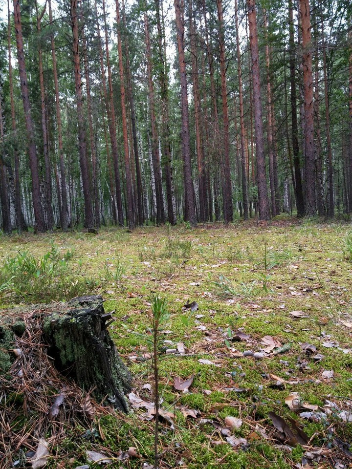 Ural