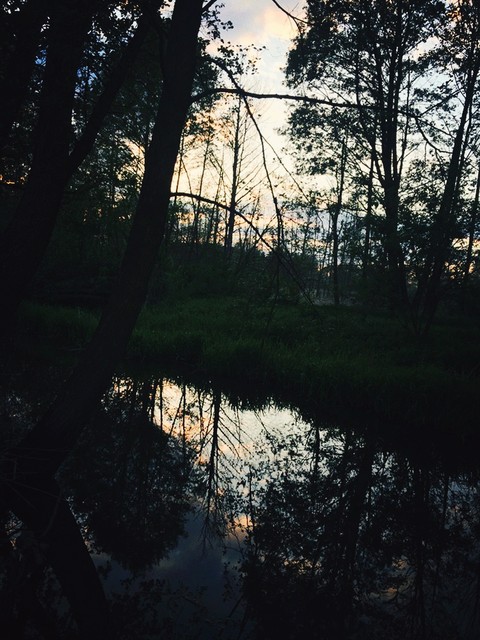 nature