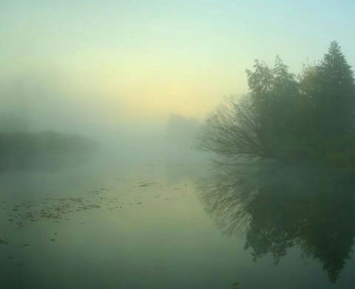 Misty