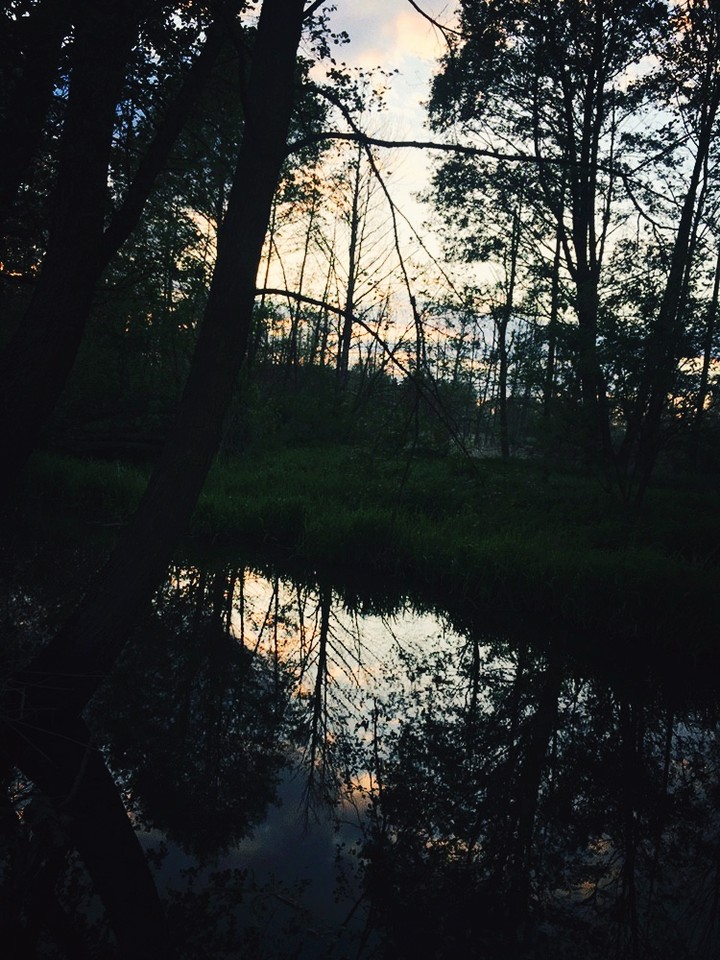 nature