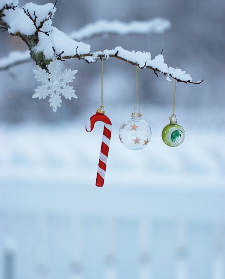 Navidad
