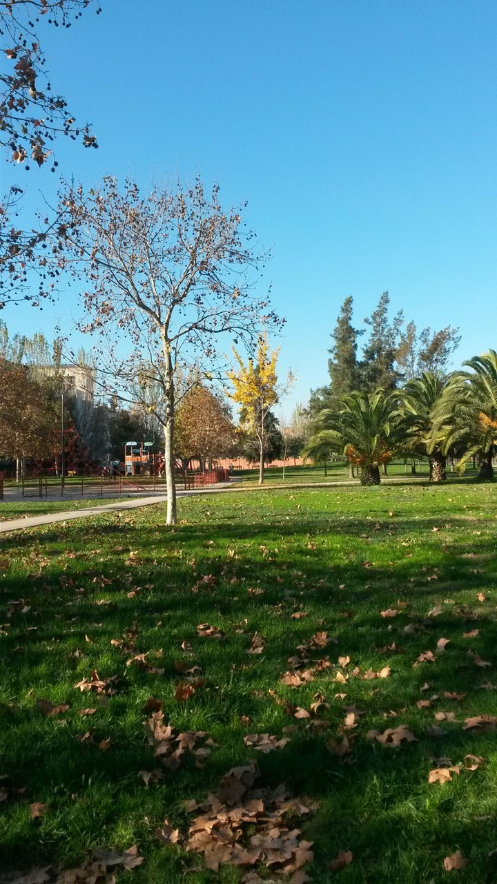 Parque en Cornella Del Llobergat