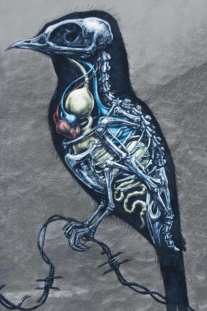 Unusual Art