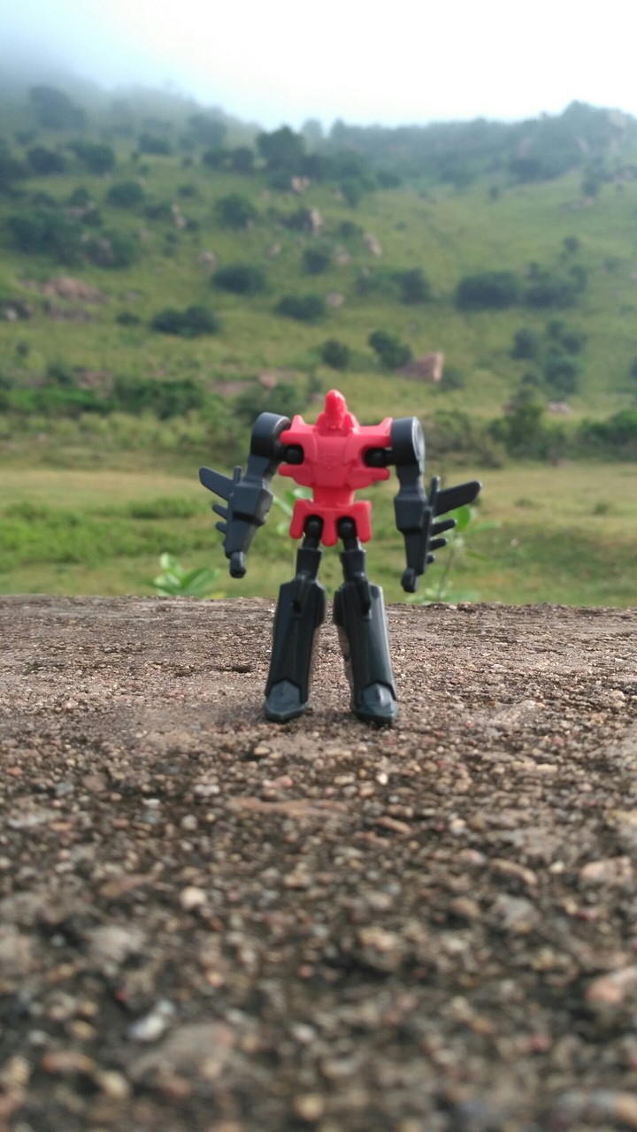 robo