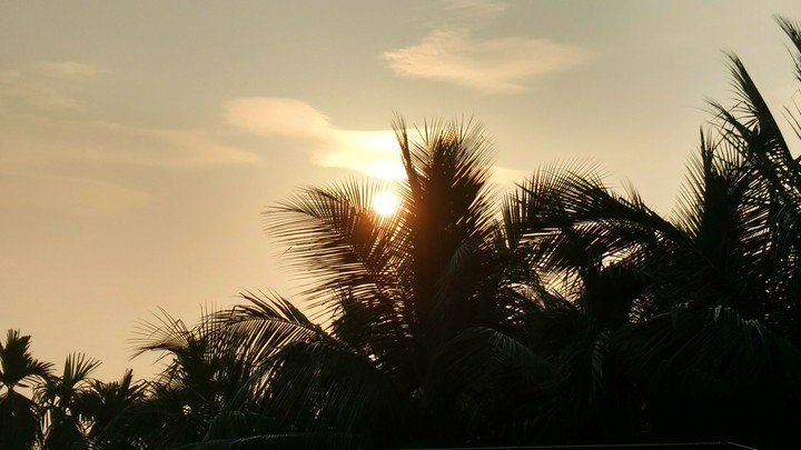 sun rise