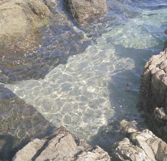 Water