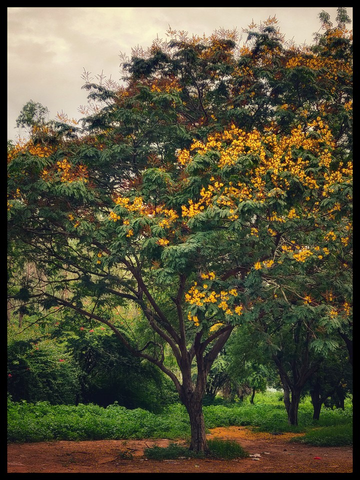 evening colors