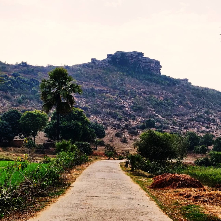 The road to Nature