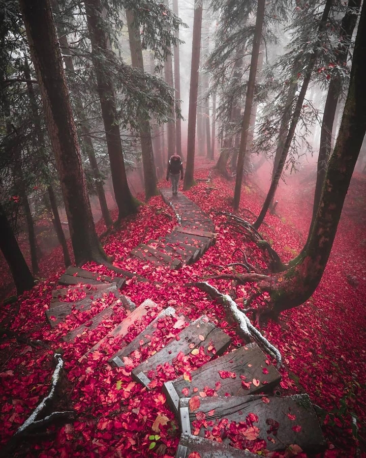 nature