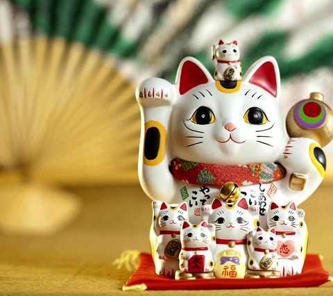lucky cat