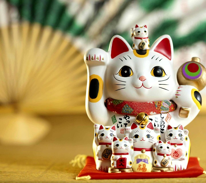 lucky cat