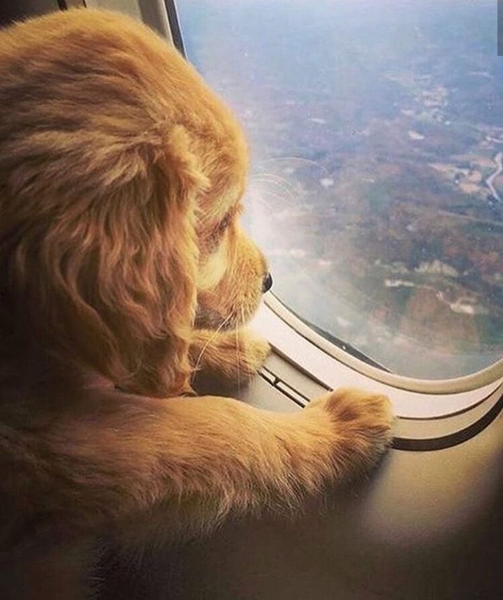 See You Soon
