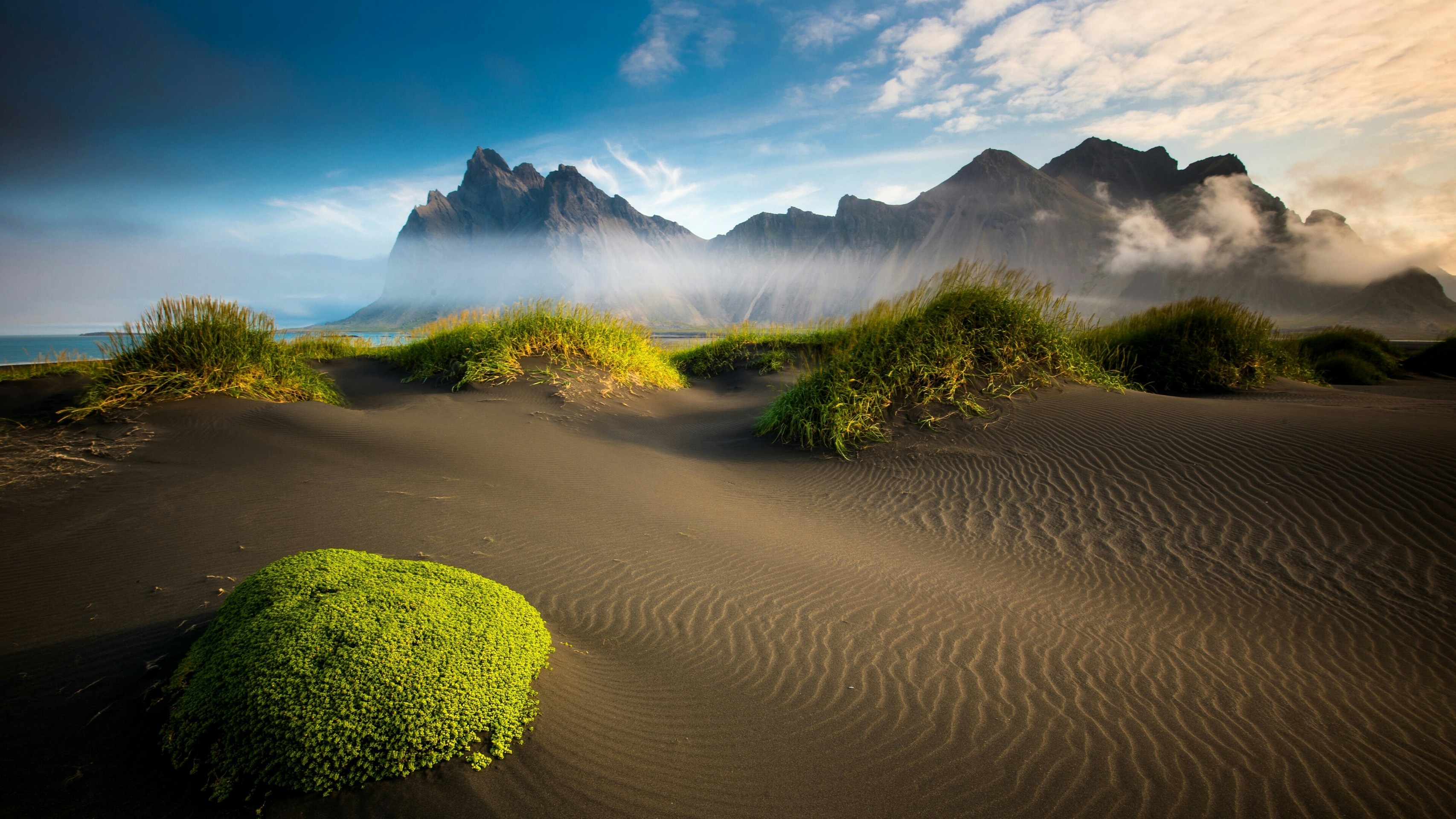 Desert and green
