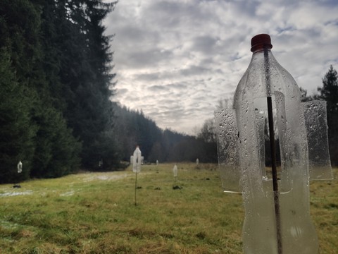 plastic coca