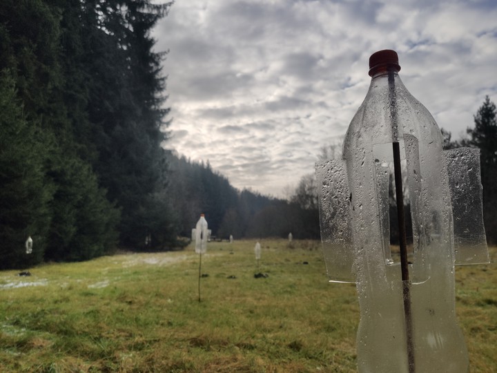 plastic coca