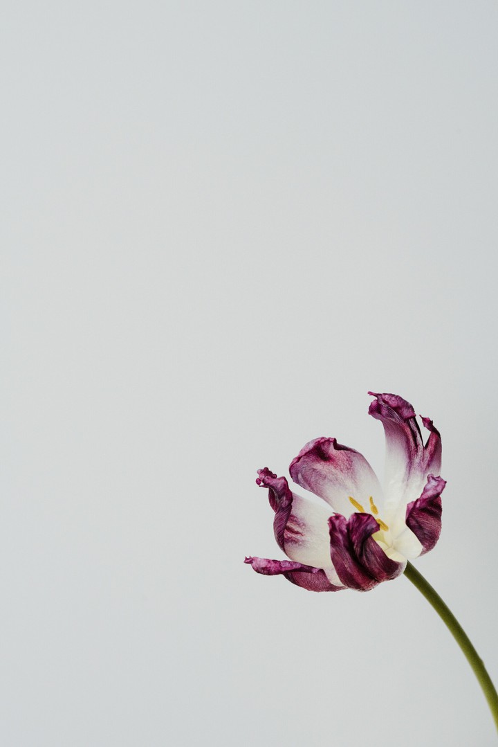 flowers.!