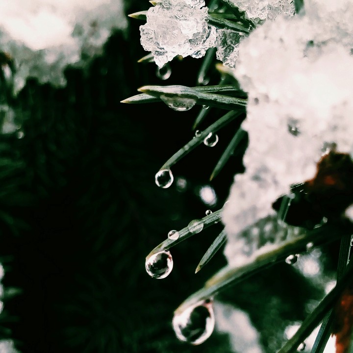 droplets