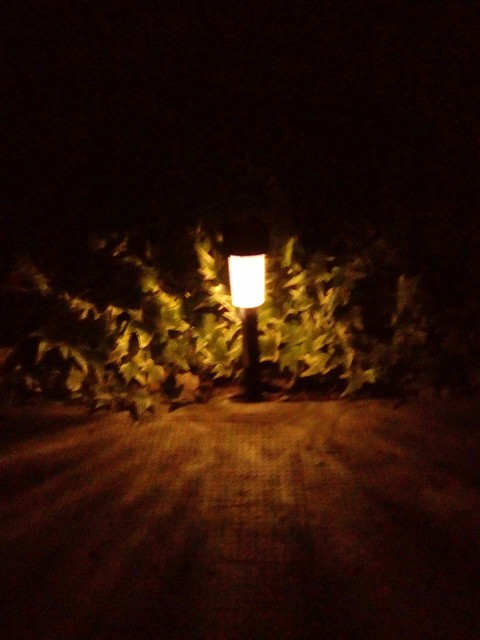 light
