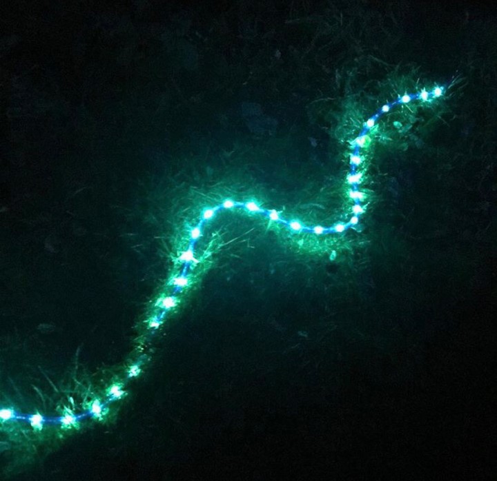 lights