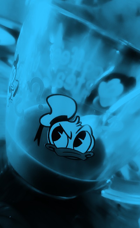Donald Angry Duck