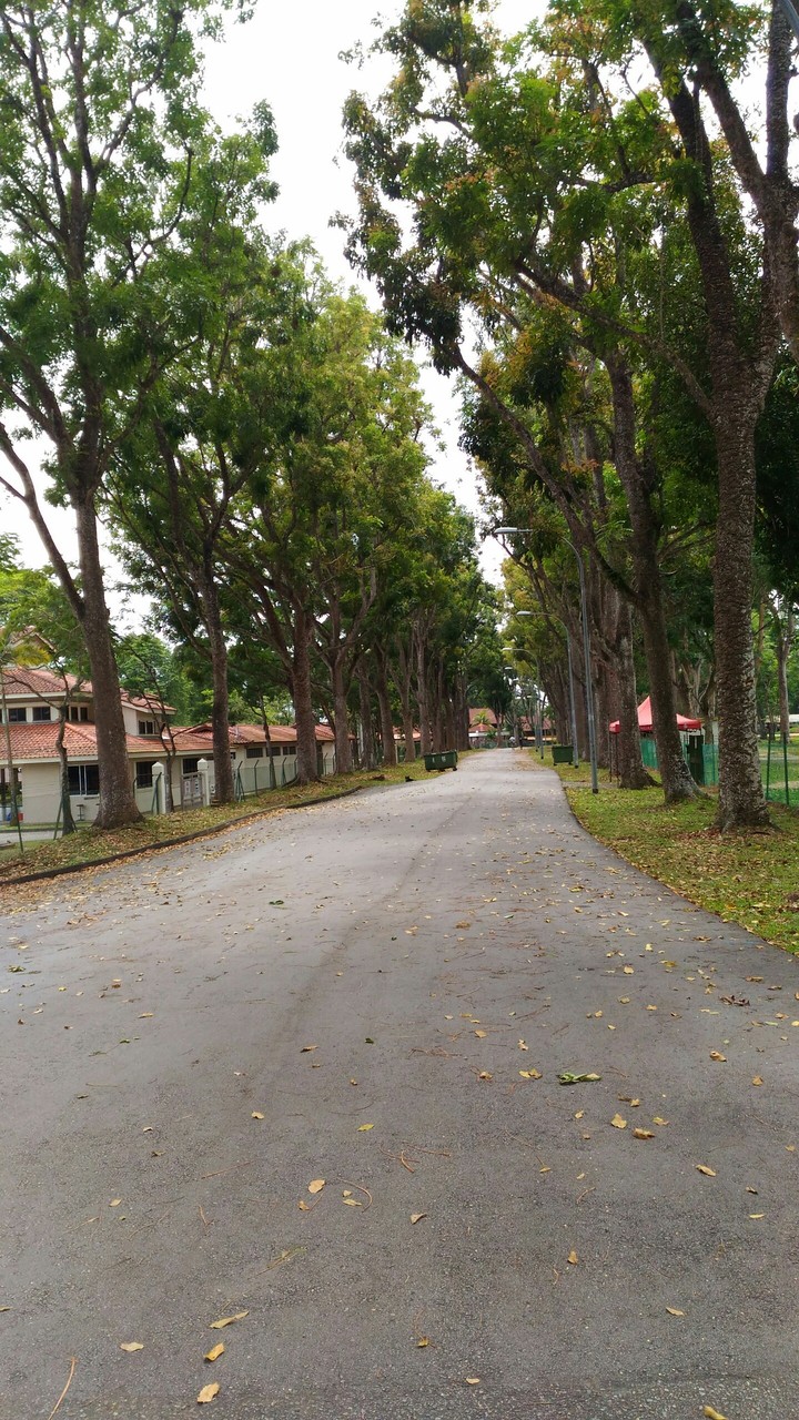 lonely