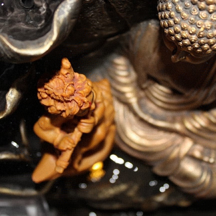 Siddhartha buddha and shri krishna