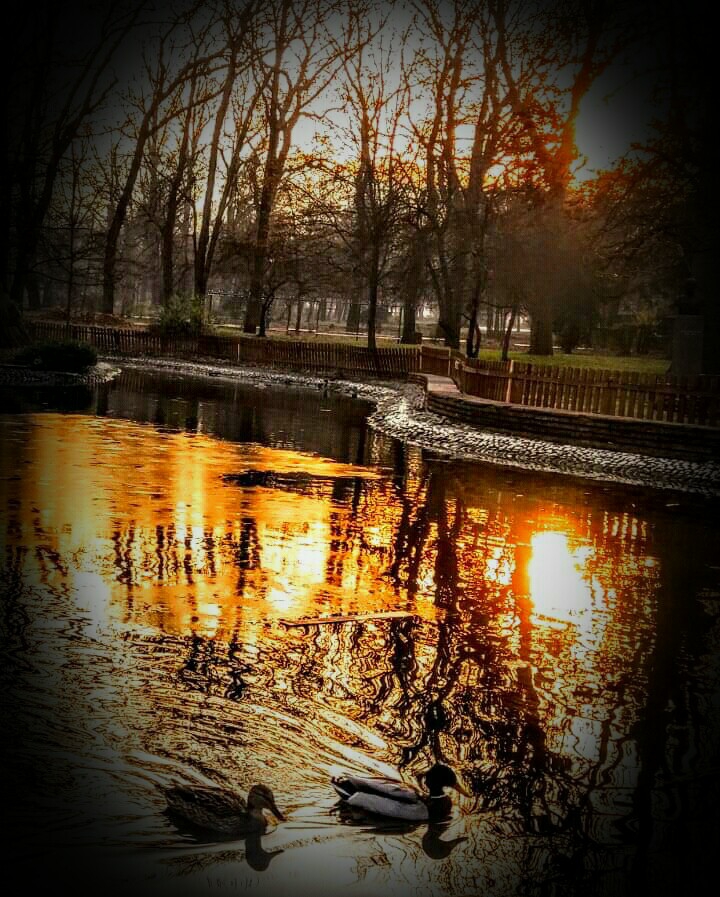 lake