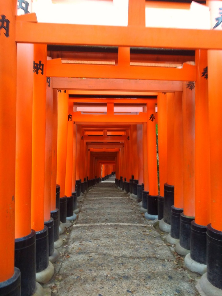 fushimi tolii