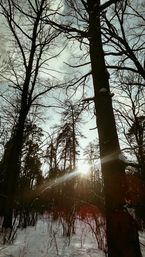 I was in forest at weekend.