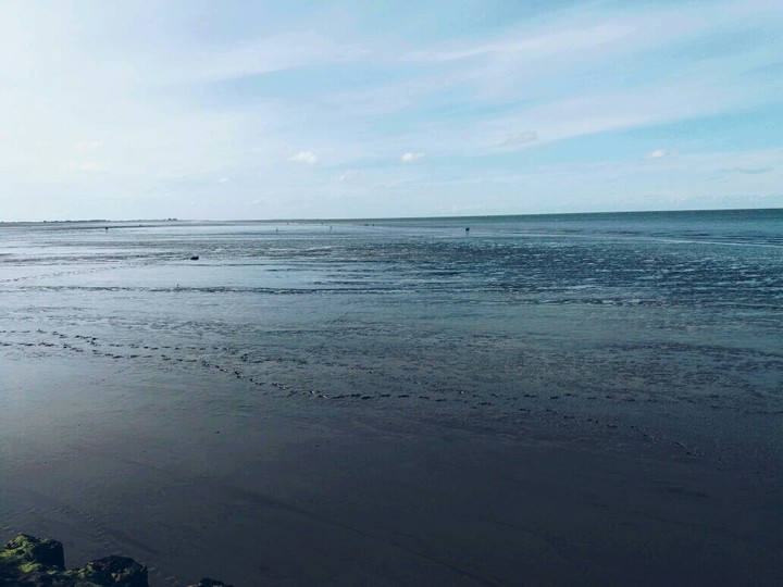 Ocean