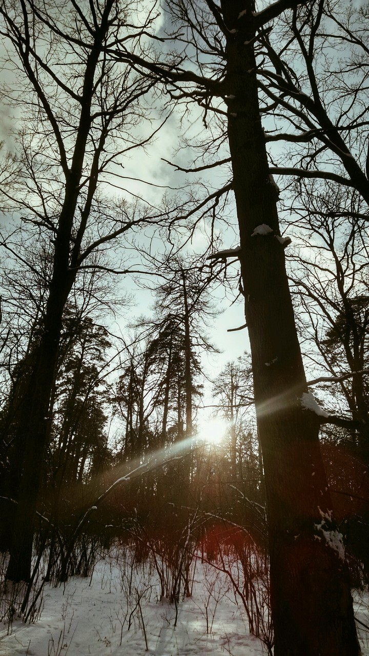 I was in forest at weekend.