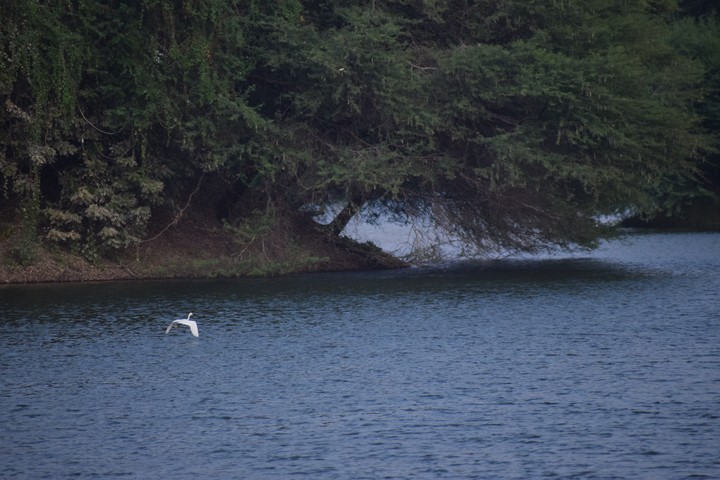 Lake in Salem, India