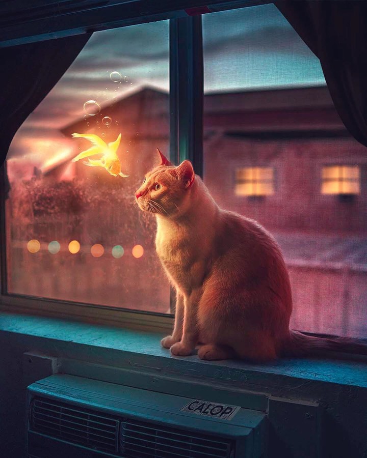 ♥️♥️♥️