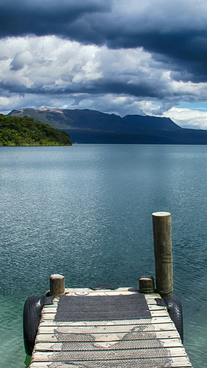 yoy