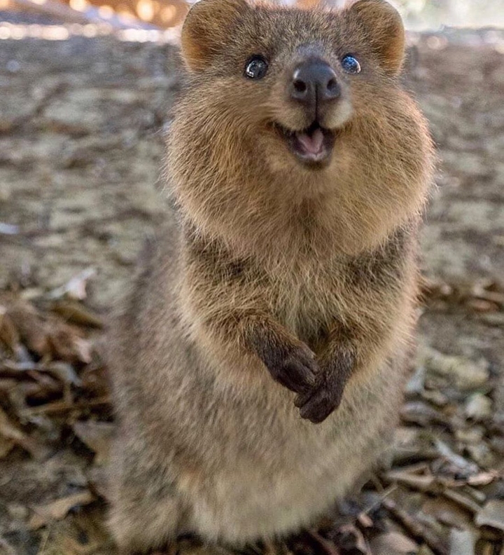 ?