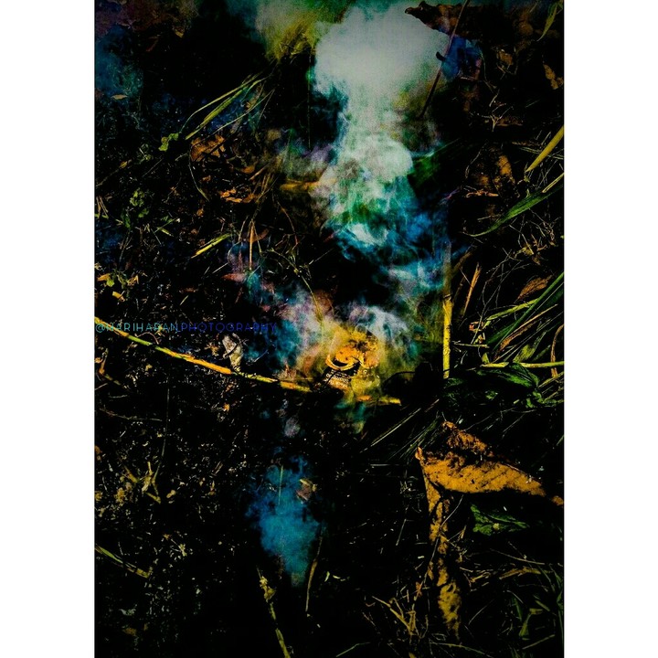 ||| •Burn• |||