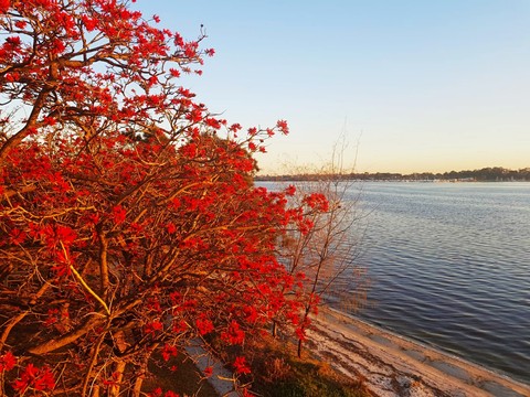 Happy...Australia...Nature...