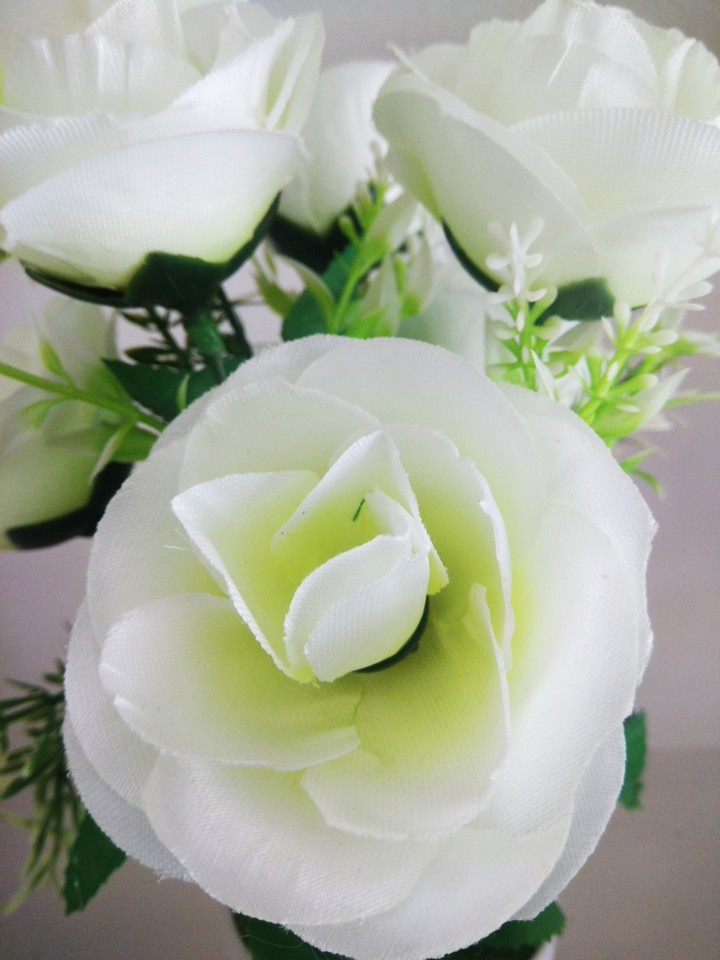 rose