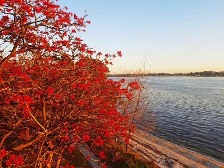 Happy...Australia...Nature...