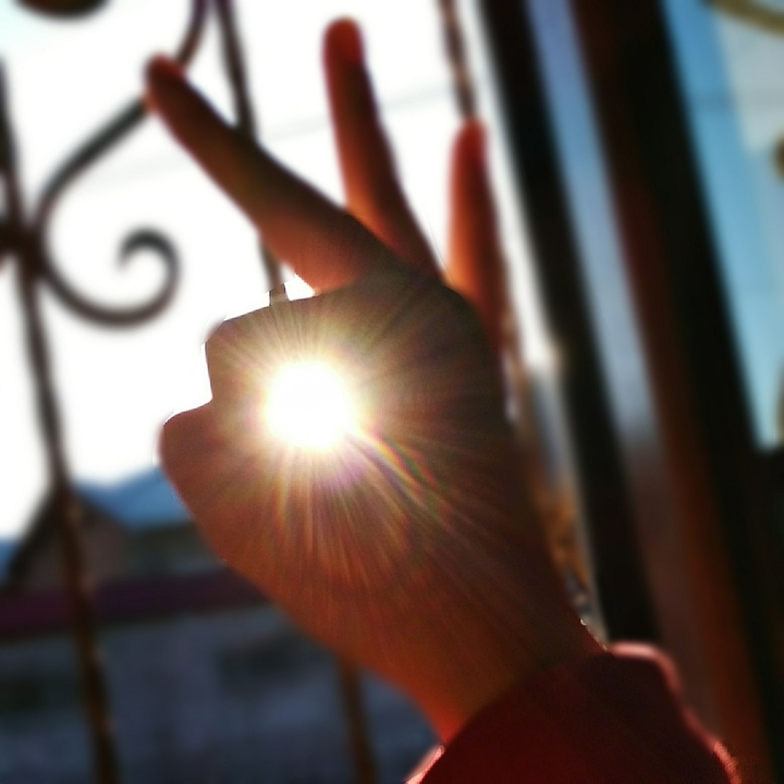 sunlight