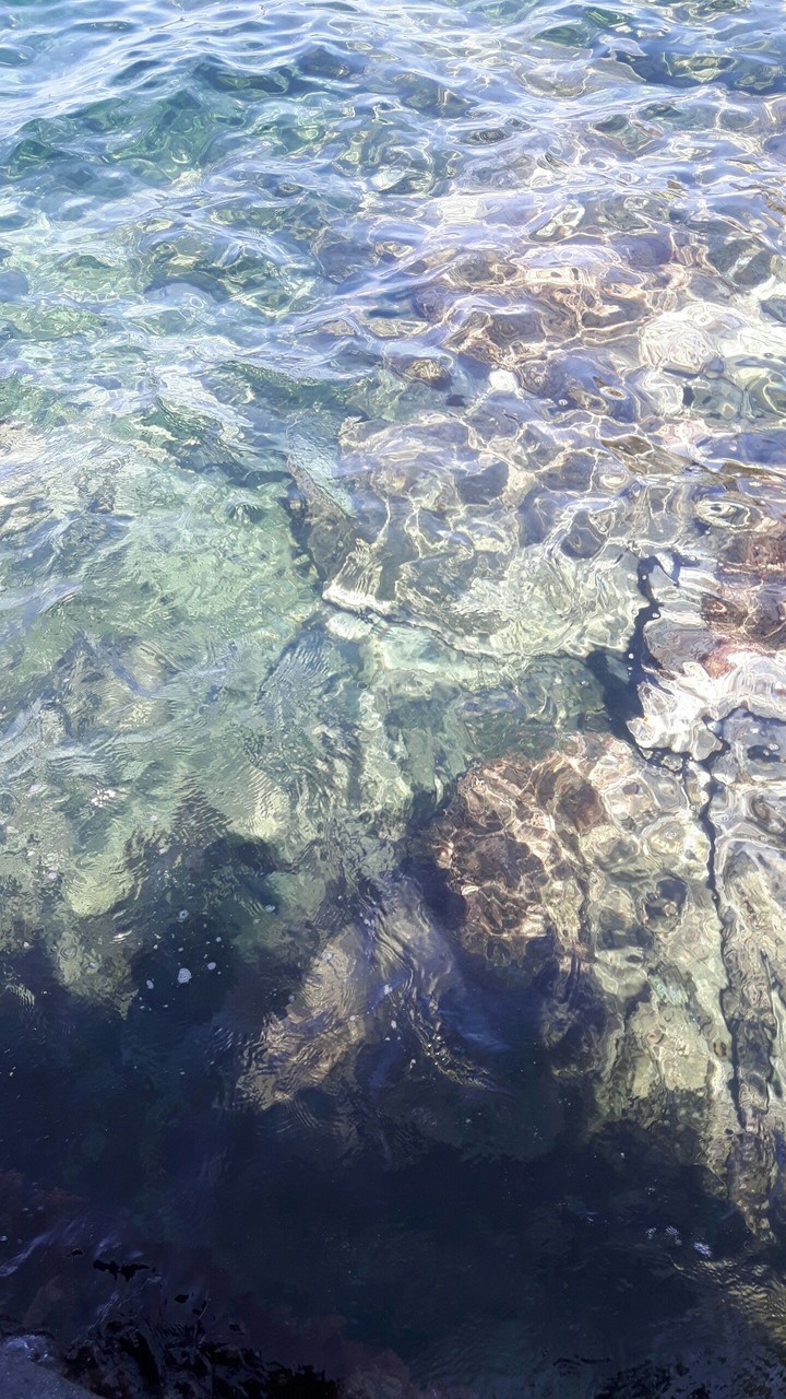 sea
