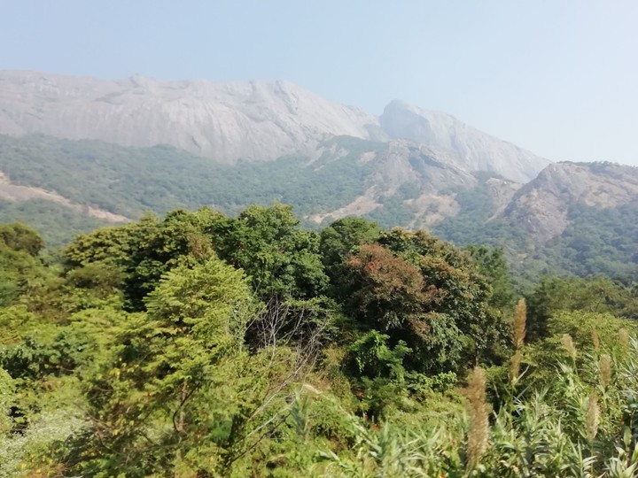 A journey through the Western Ghats...