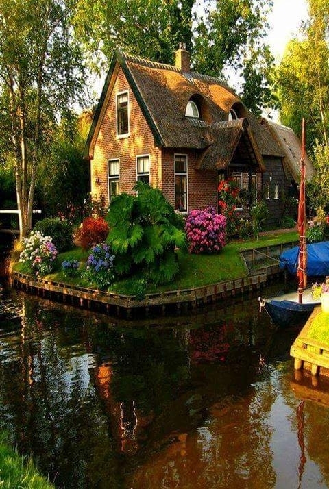 HOME MY AND ?