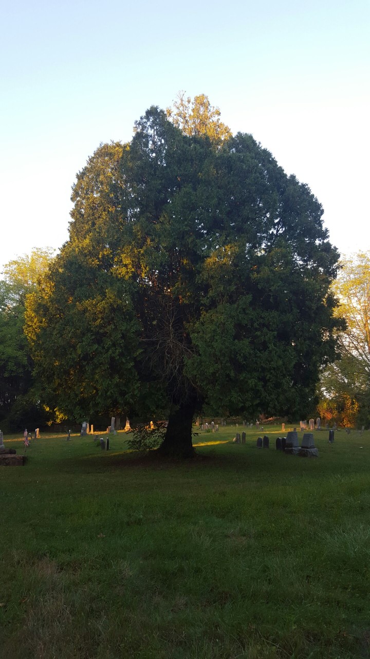 Cemetery Guardian