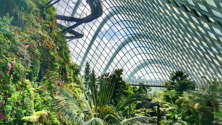 Cloud Forest, Singapore