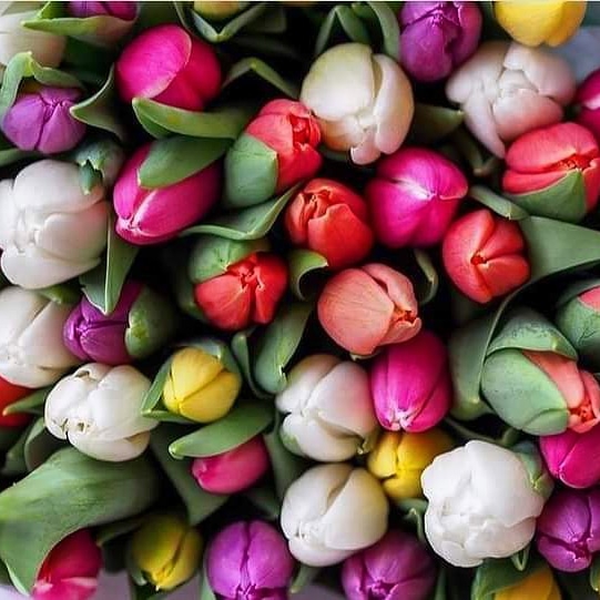 8 mart