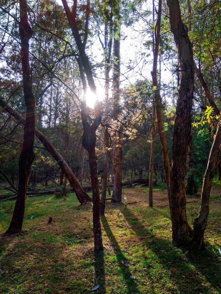beauty of masanakidi road