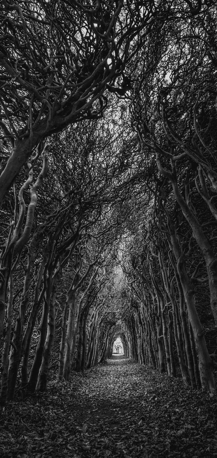 Black and white route